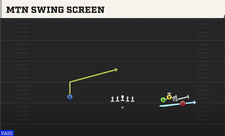 MTN SWING SCREEN play diagram College Football 27