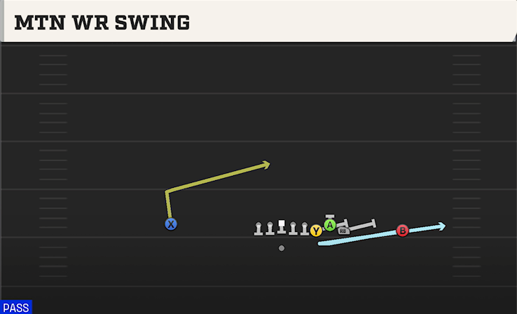 MTN WR SWING play diagram College Football 27