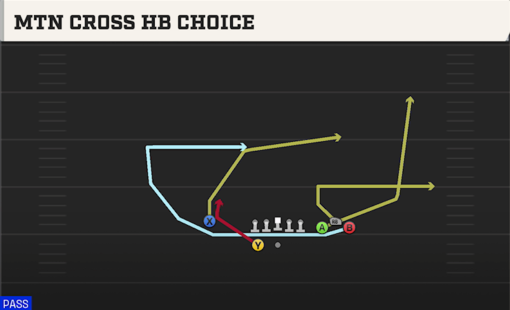 MTN CROSS HB CHOICE play diagram College Football 27