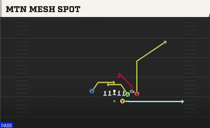 MTN MESH SPOT play diagram College Football 27