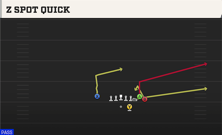 Z SPOT QUICK play diagram College Football 27