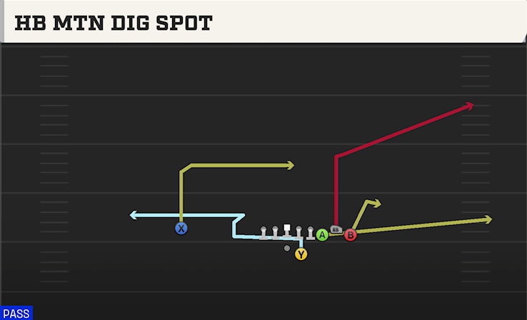 HB MTN DIG SPOT play diagram College Football 27