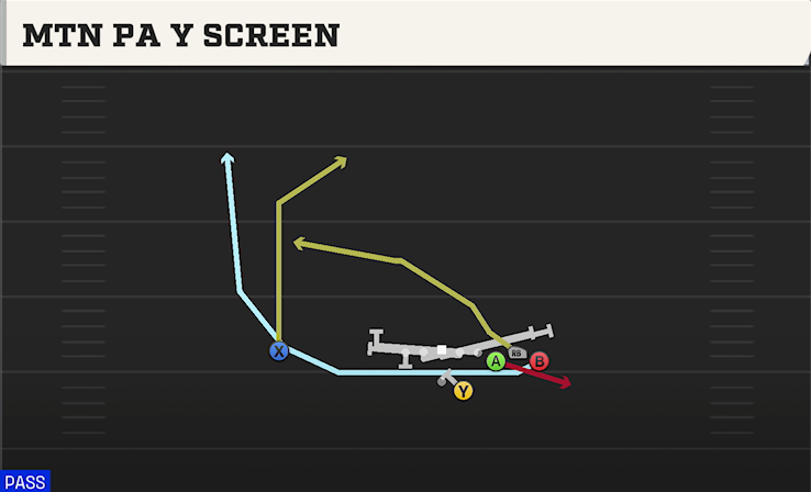 MTN PA Y SCREEN play diagram College Football 27