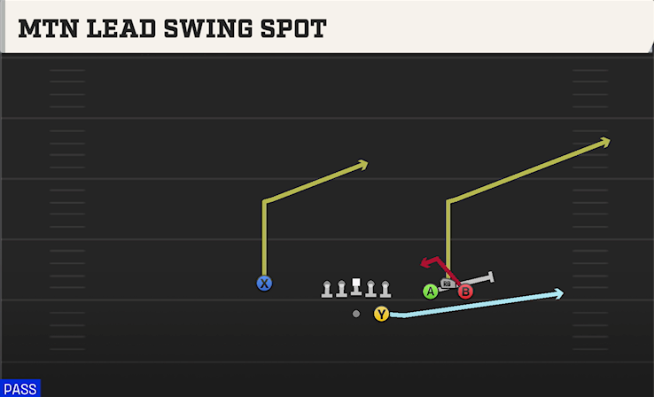 MTN LEAD SWING SPOT play diagram College Football 27