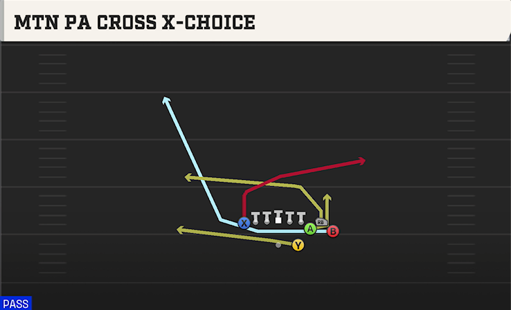 MTN PA CROSS X-CHOICE play diagram College Football 27