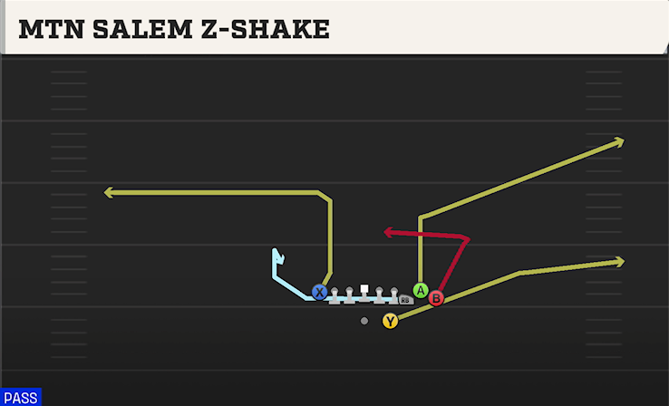 MTN SALEM Z-SHAKE play diagram College Football 27