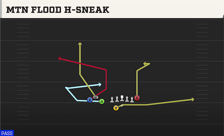 MTN FLOOD H-SNEAK play diagram College Football 27