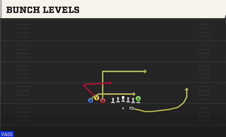 BUNCH LEVELS play diagram College Football 27