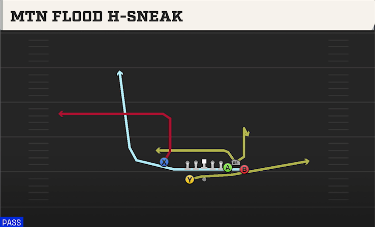 MTN FLOOD H-SNEAK play diagram College Football 27