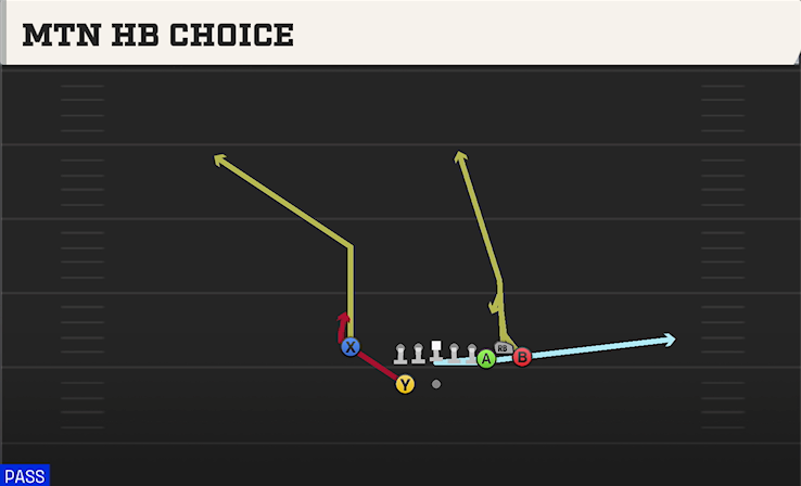 MTN HB CHOICE play diagram College Football 27