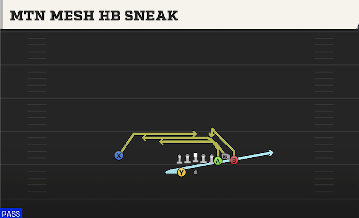MTN MESH HB SNEAK play diagram College Football 27