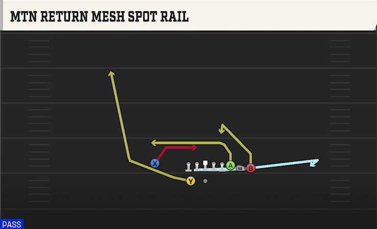 MTN RETURN MESH SPOT RAIL play diagram College Football 27