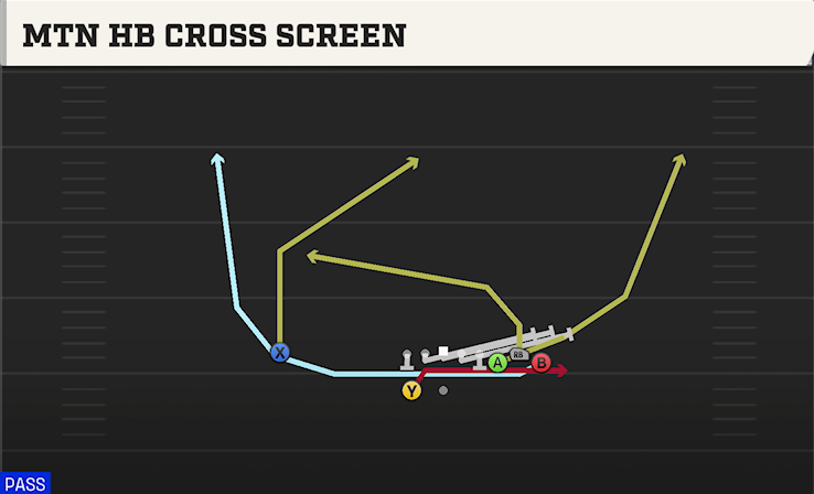 MTN HB CROSS SCREEN play diagram College Football 27