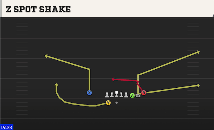 Z SPOT SHAKE play diagram College Football 27