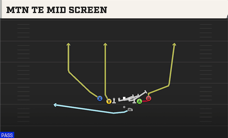 MTN TE MID SCREEN play diagram College Football 27