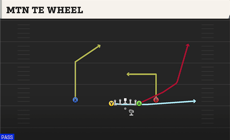 MTN TE WHEEL play diagram College Football 27