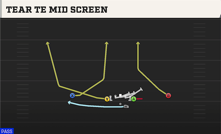 TEAR TE MID SCREEN play diagram College Football 27