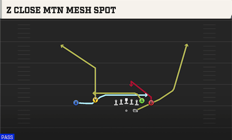 Z CLOSE MTN MESH SPOT play diagram College Football 27