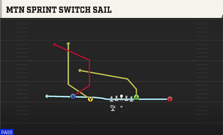 MTN SPRINT SWITCH SAIL play diagram College Football 27