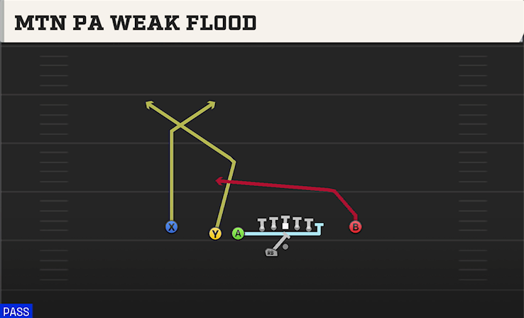 MTN PA WEAK FLOOD play diagram College Football 27