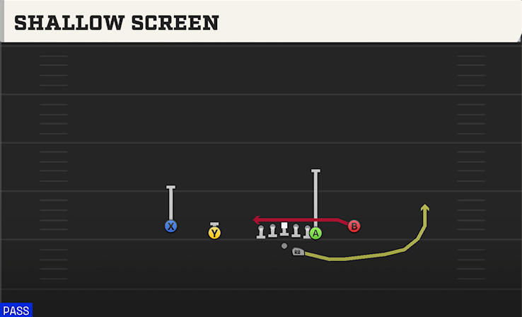 SHALLOW SCREEN play diagram College Football 27