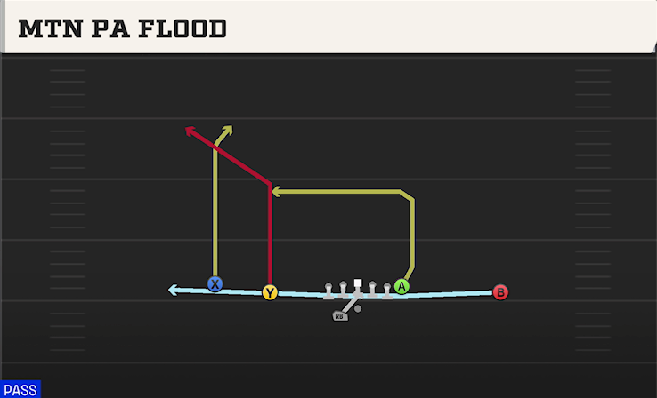 MTN PA FLOOD play diagram College Football 27