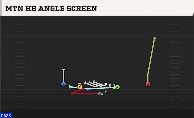 MTN HB ANGLE SCREEN play diagram College Football 27