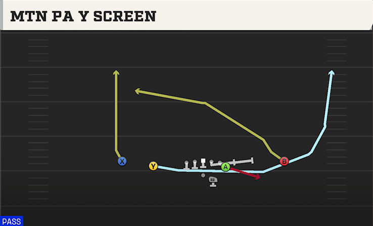 MTN PA Y SCREEN play diagram College Football 27