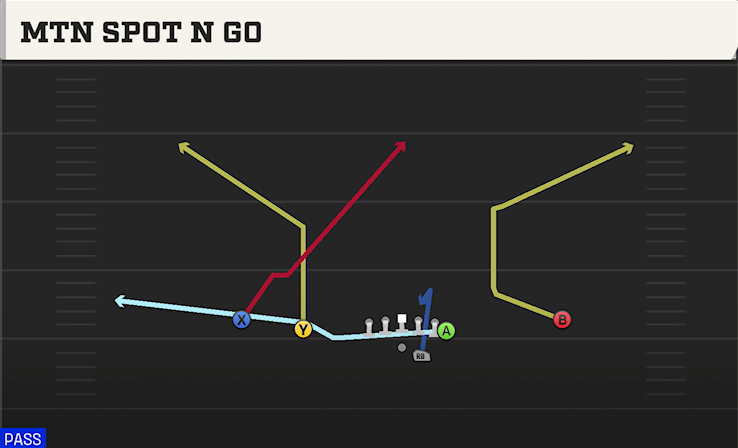 MTN SPOT N GO play diagram College Football 27