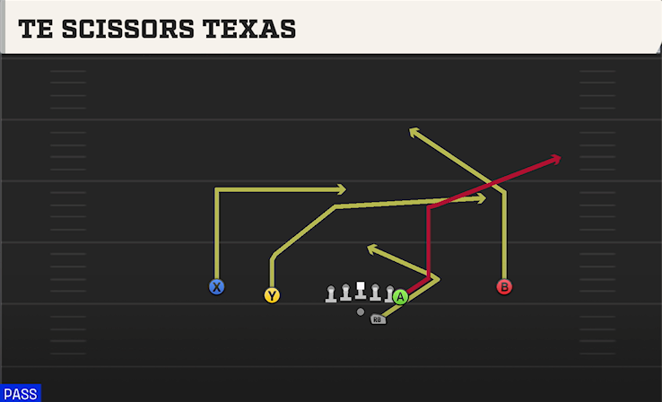 TE SCISSORS TEXAS play diagram College Football 27