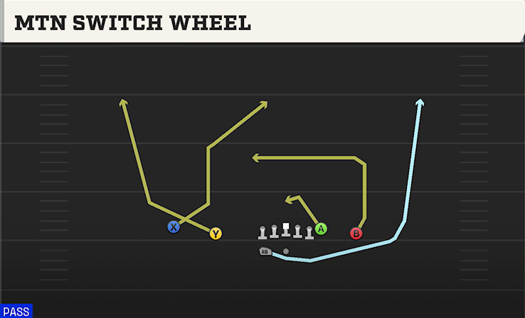 MTN SWITCH WHEEL play diagram College Football 27