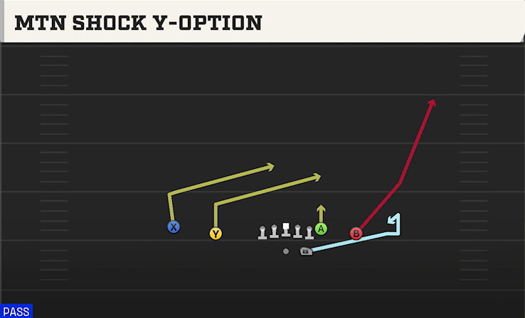 MTN SHOCK Y-OPTION play diagram College Football 27