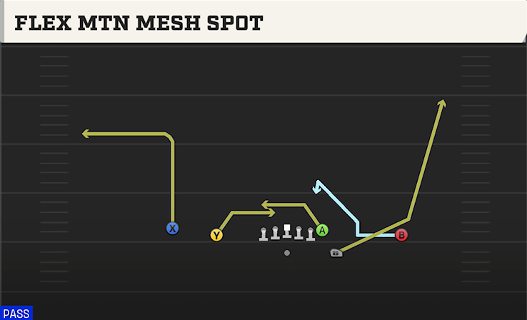 FLEX MTN MESH SPOT play diagram College Football 27