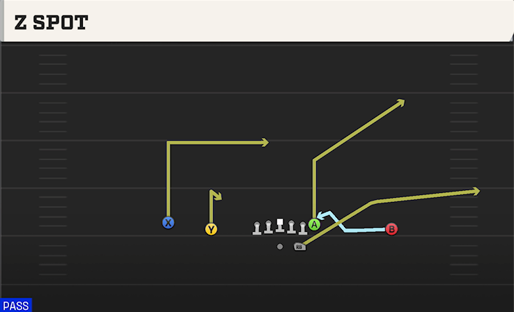 Z SPOT play diagram College Football 27
