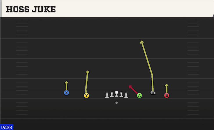 HOSS JUKE play diagram College Football 27