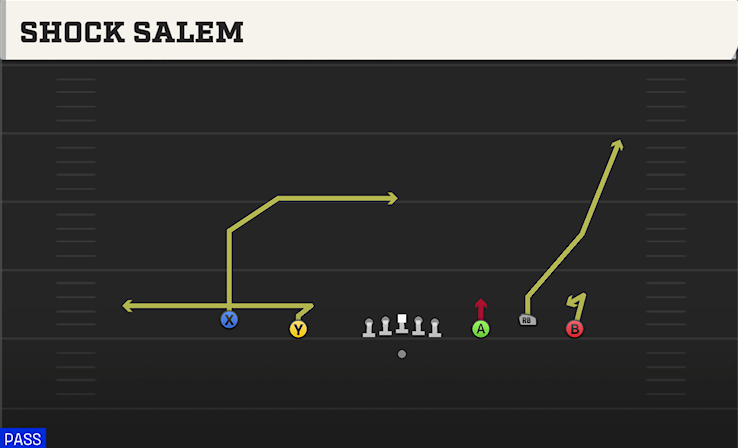 SHOCK SALEM play diagram College Football 27