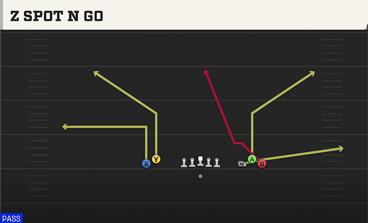 Z SPOT N GO play diagram College Football 27
