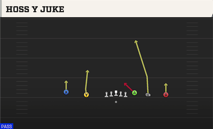 HOSS Y JUKE play diagram College Football 27