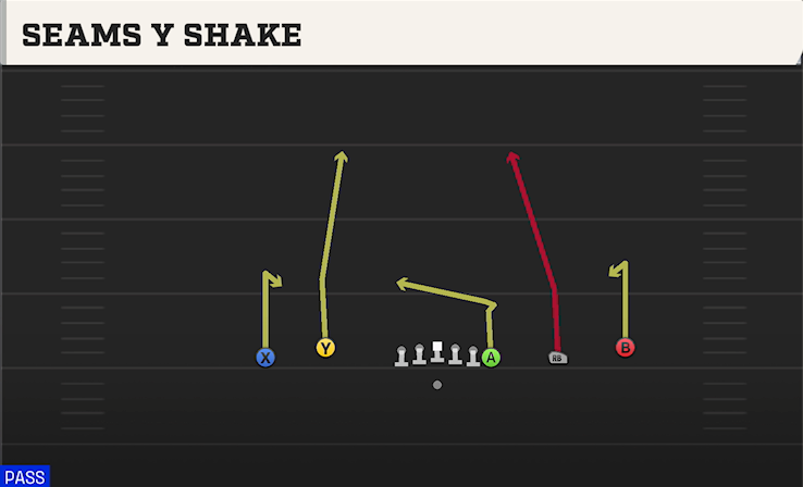 SEAMS Y SHAKE play diagram College Football 27
