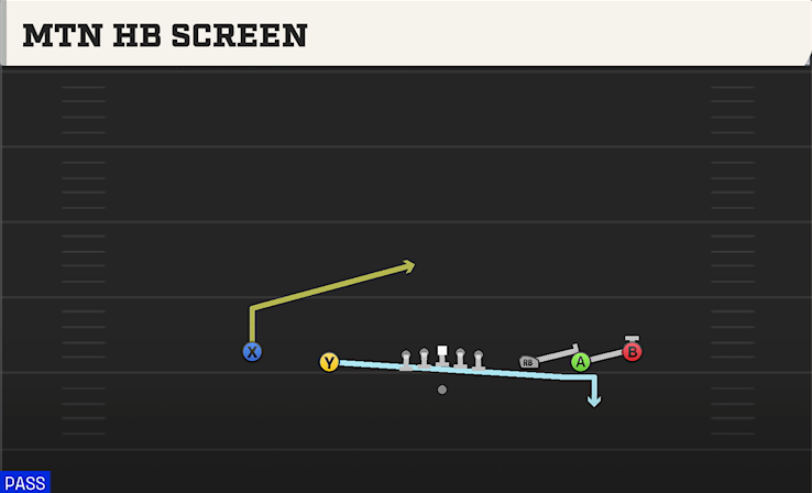 MTN HB SCREEN play diagram College Football 27