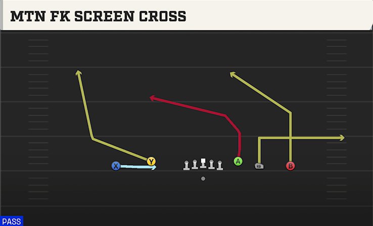 MTN FK SCREEN CROSS play diagram College Football 27