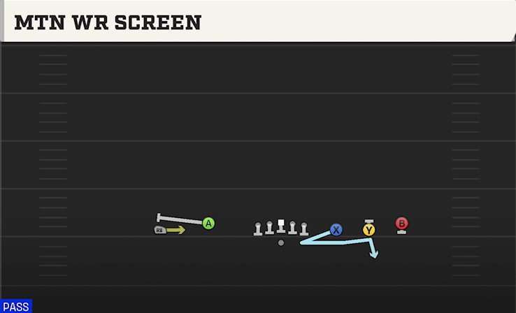 MTN WR SCREEN play diagram College Football 27