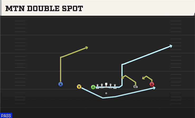 MTN DOUBLE SPOT play diagram College Football 27