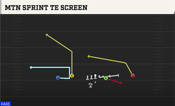 MTN SPRINT TE SCREEN play diagram College Football 27