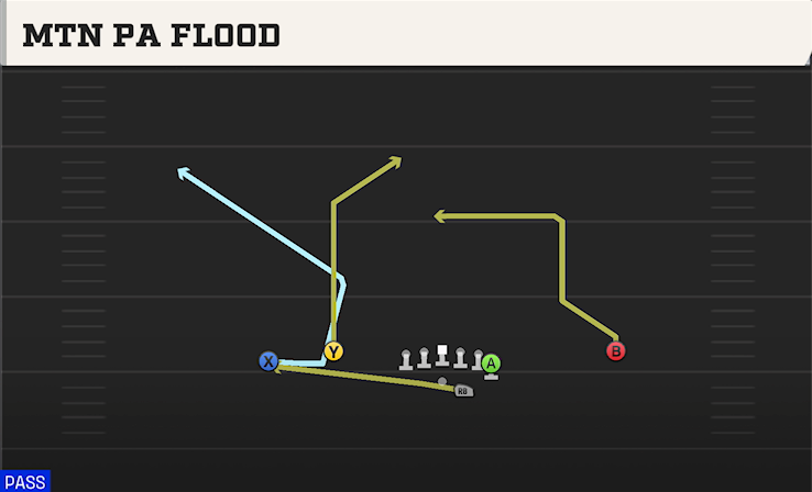MTN PA FLOOD play diagram College Football 27