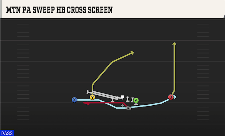 MTN PA SWEEP HB CROSS SCREEN play diagram College Football 27