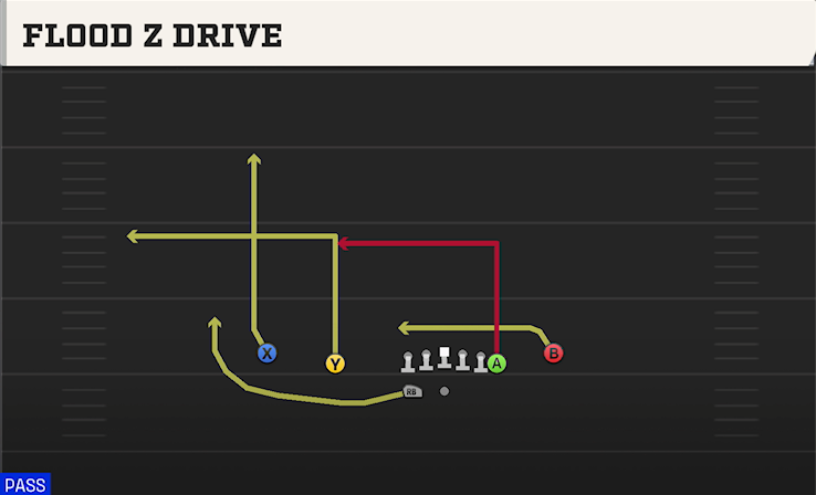 FLOOD Z DRIVE play diagram College Football 27