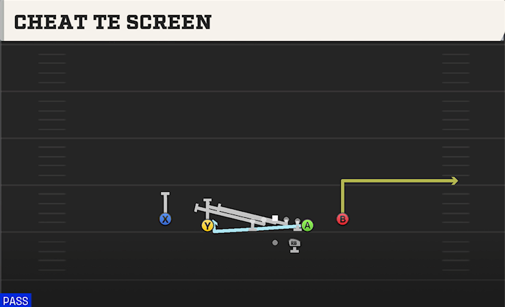 CHEAT TE SCREEN play diagram College Football 27