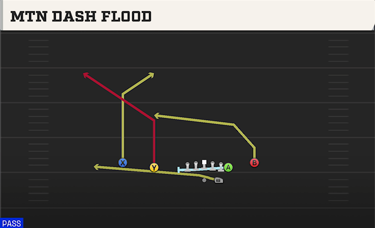 MTN DASH FLOOD play diagram College Football 27