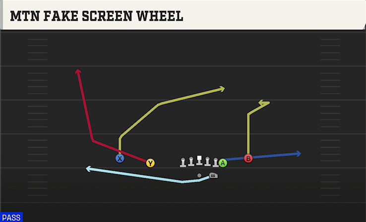 MTN FAKE SCREEN WHEEL play diagram College Football 27